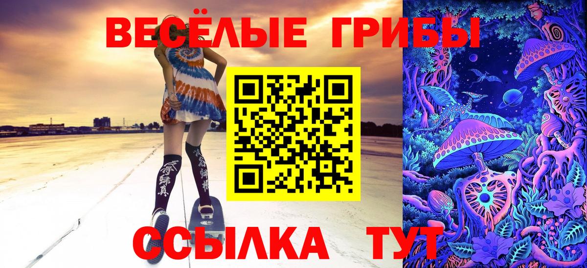 Галлюциногенные грибы Psilocybe  Вход с VPN  наркошоп  Рассказово 