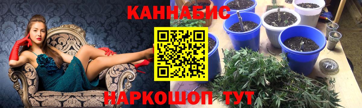 Канабис семена Рассказово